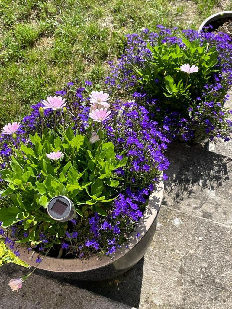 Apartamento Rynge Teaters Boningshus Ystad Exterior foto